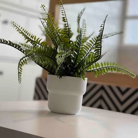 Loft Ravissant Avec Jacuzzi & Piscine - Cap D'agde Appartement *